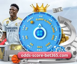 bet365 APP 深度功能